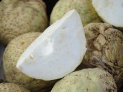 Reducir el azúcar en la sangre
