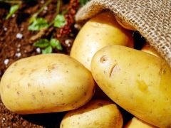 El secreto del jugo de patata