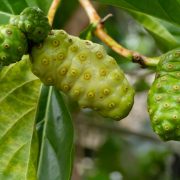 ¿Cómo aliviar el dolor de la artritis?