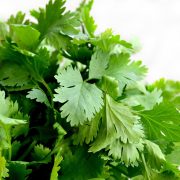 ¿Cómo LIMPIARl nuestro CUERPO de toxinas?