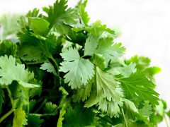 ¿Cómo LIMPIARl nuestro CUERPO de toxinas?