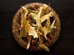 Deja de toser y limpia tus pulmones con estos 4 ingredientes: antibiótico natural para bronquitis y faringitis